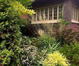 A very low maintenance gravel garden with grasses and shrubs