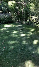 Changing the shape of the lawn